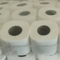 PAPEL SANITARIO (ROLLO) 
