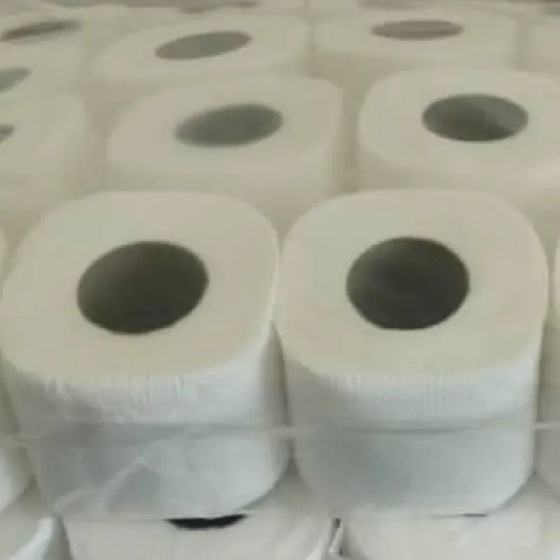 PAPEL SANITARIO (ROLLO) 