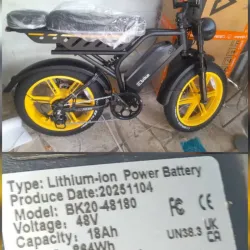 Bicicleta eléctrica Ebike