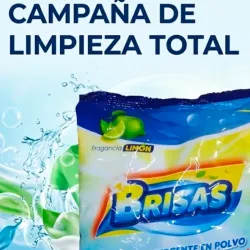 Detergente 250 gr
