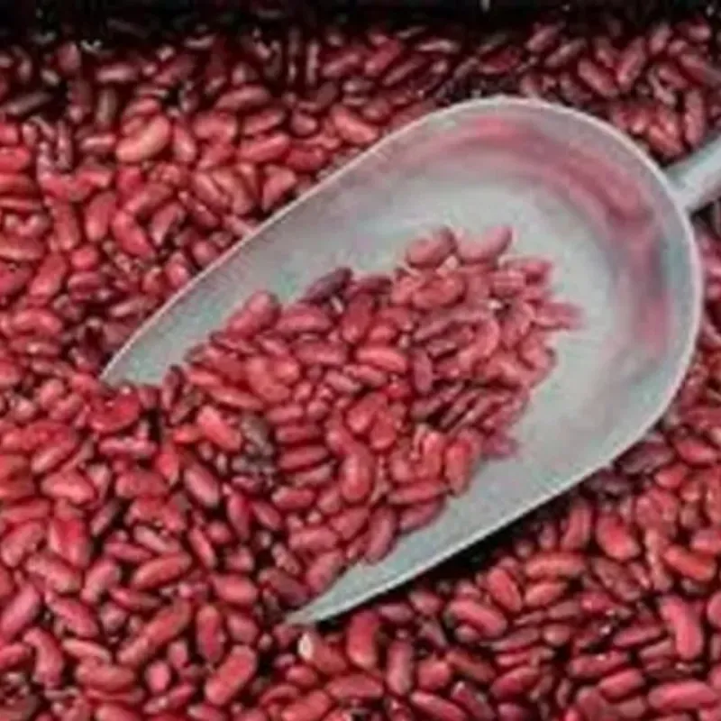 Frijoles colorados 1 lb