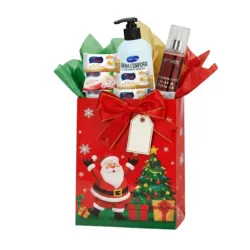 Bolsa de regalo #2 🎁 