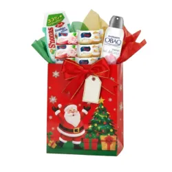 Bolsa de regalo #3 🎁 