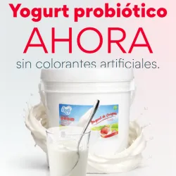  4 CUBETAS DE  YOGURT PROBIÓTICO DE 4L