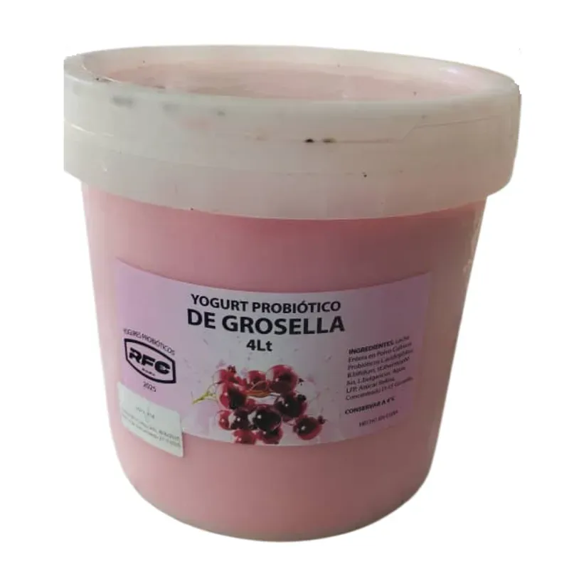 YOGURT PROBIOTICO DE GROSELLA 4L