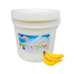 YOGURT PROBIOTICO DE PLATANO 4L