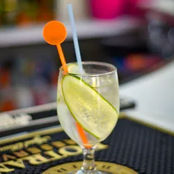 Gin Tonic