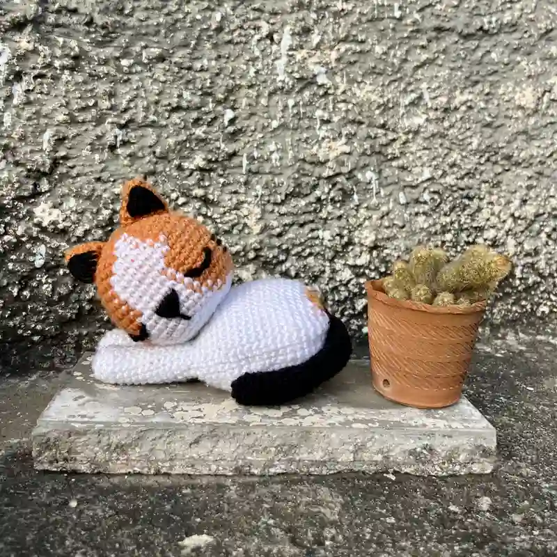 Gatito dormilón 😻