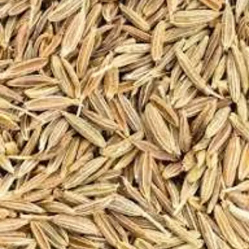 Comino en grano paquetico 