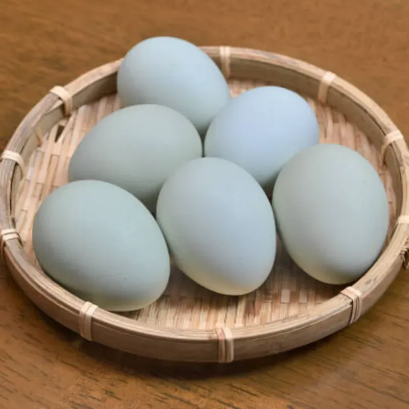Huevos