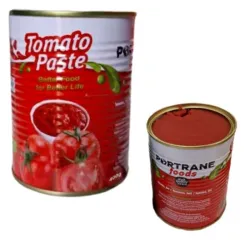 Pasta de tomate