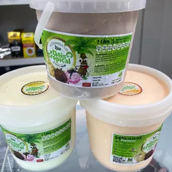 Helado  Nacional Éxtasis (sabores chocolate, vainilla y naranja/piña