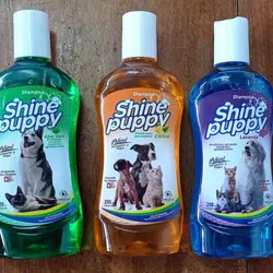 Shampoo Shine Puppy 250 mg 