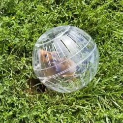 Esfera plástica para hamster 