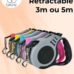 Correa extensible de 3 metros