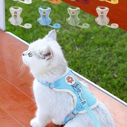 Set de arnés con correa