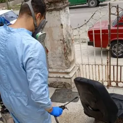Precio por m² tratamiento contra chinches de cama