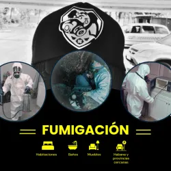 Precio por m² tratamiento contra cucarachas alemanas