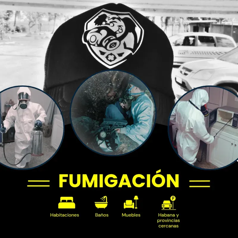 Precio por m² tratamiento contra cucarachas alemanas