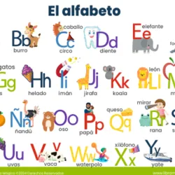 🔤AlfabetoIlustrado✨