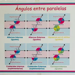 Ángulos entre Paralelas