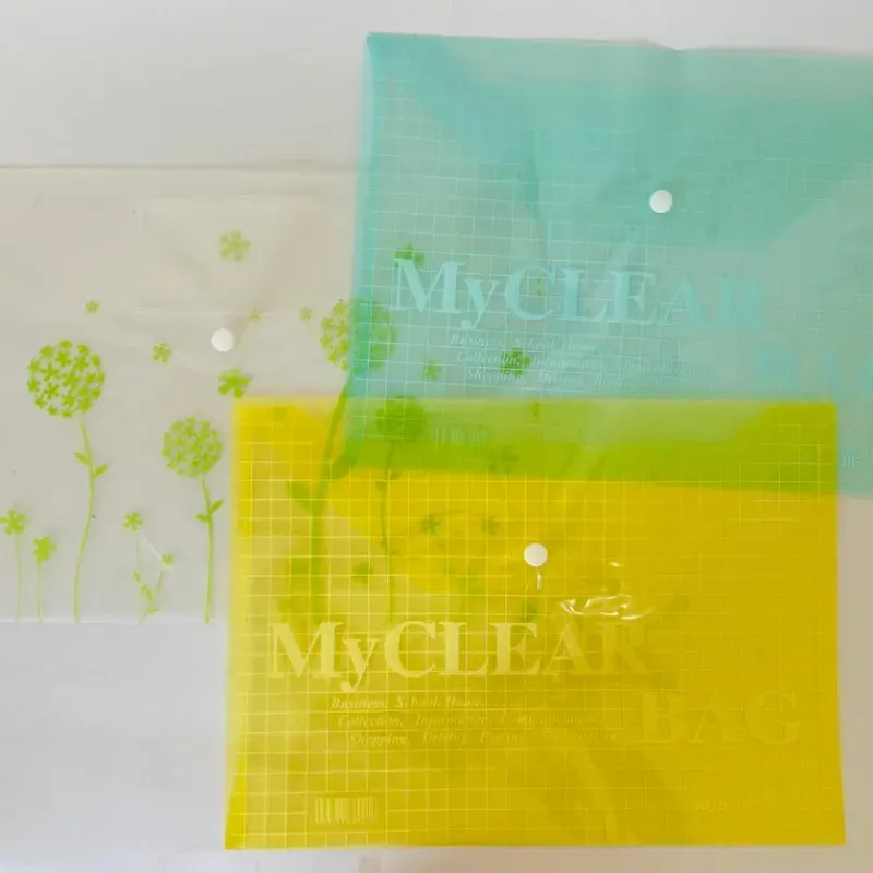 Carpeta transparente📁
