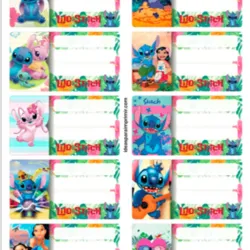 📛✨ ETIQUETAS IDENTIFICADORAS PARA LIBRETAS Y LIBROS ✨📛