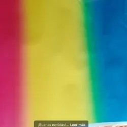 Forro para libretas y libros