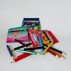 Lápices de Colores de 12 Unidades