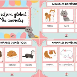 📘Lectura global de animales🐒🦁🐆