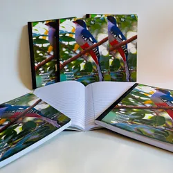 Libreta Rayada de 200 Páginas 📓