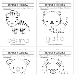 Repasa las lineas y colorea✏️🌈