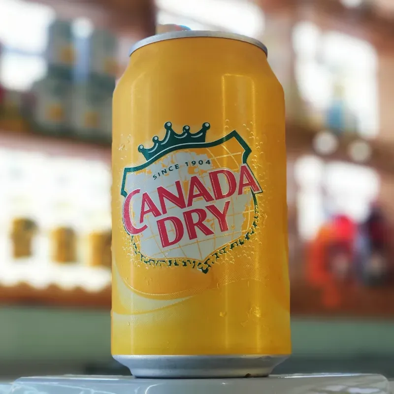 Agua Tónica "Canada Dry"