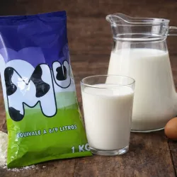 Leche en polvo 1kg 