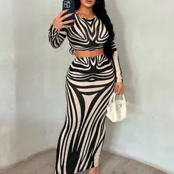 Conjunto 🦓 