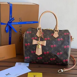 Louis Vuitton Speedy Takashi Murakami 🤎🍒