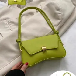 CARTERA🐍