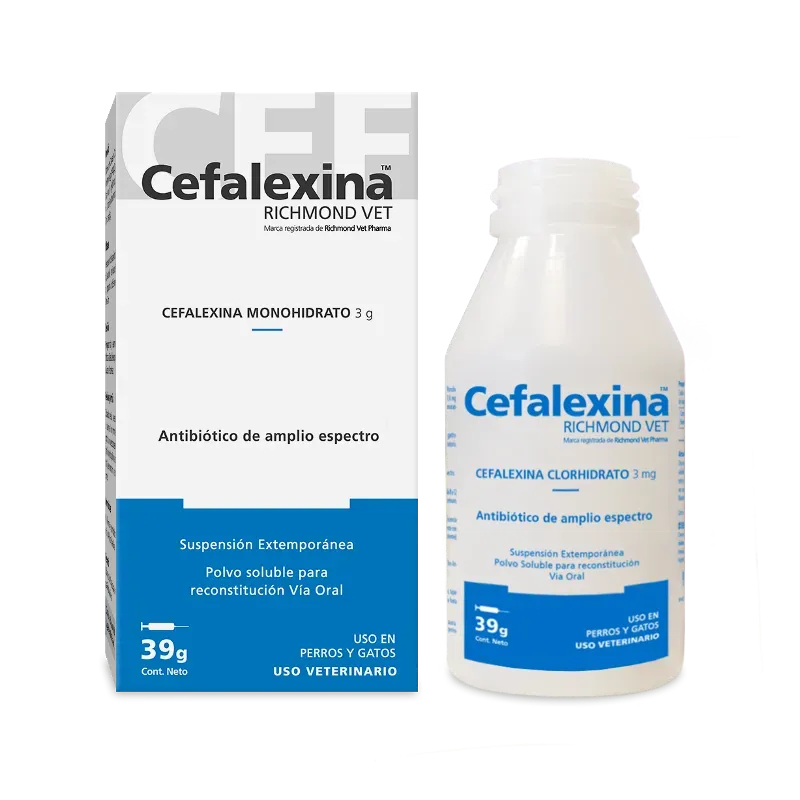 Cefalexina Susp. 