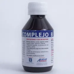 Complejo B Jarabe 