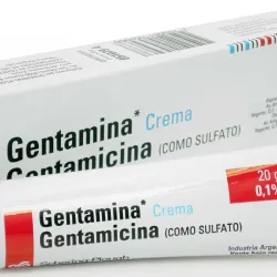 Gentamicina 20g 