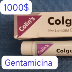 Gentamicina Tubo con 20 gramos 