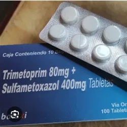 Sulfrapin de 480 mg de 10 Tabletas 