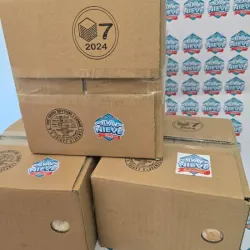 Helado La Nieve 1 caja 4.7 L