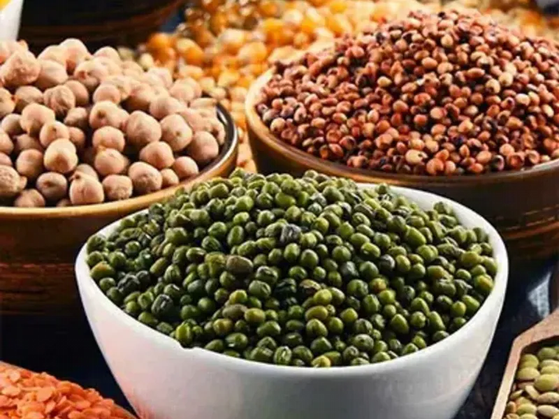 Granos 🍚 y pastas y productos del agro 