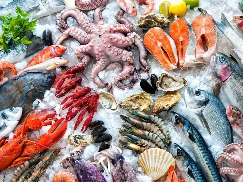 Pescados y proveniente del mar 🦞