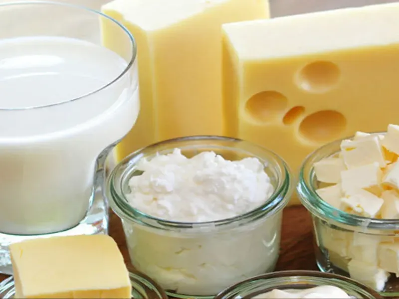 Productos lácteos 🥛🧈