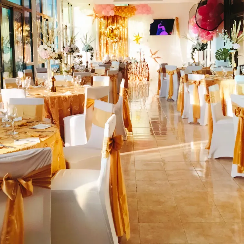 15 años Hotel Tulipán 🌷
