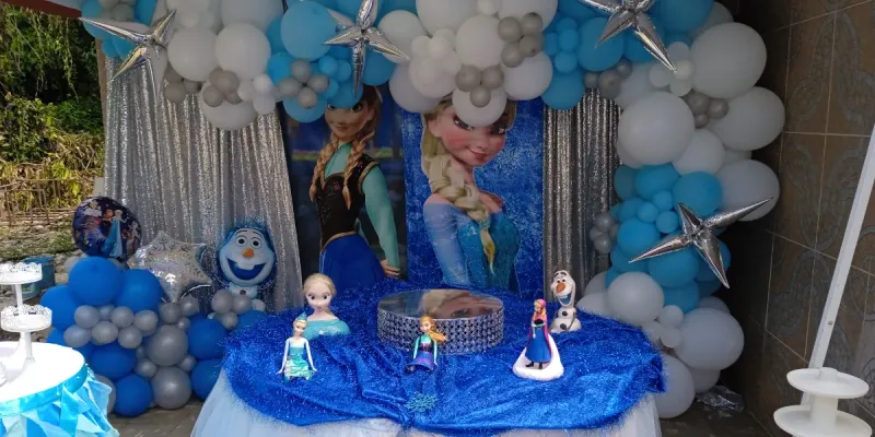 Cumple Frozen Piscina 2