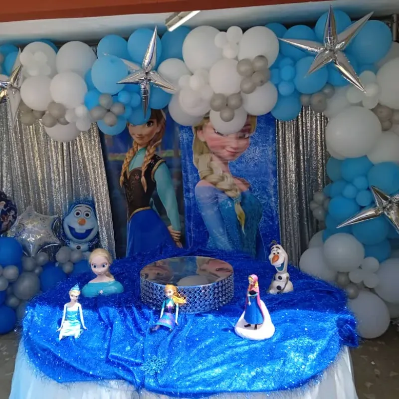 Cumple Frozen Piscina 2