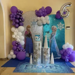 Frozen 25